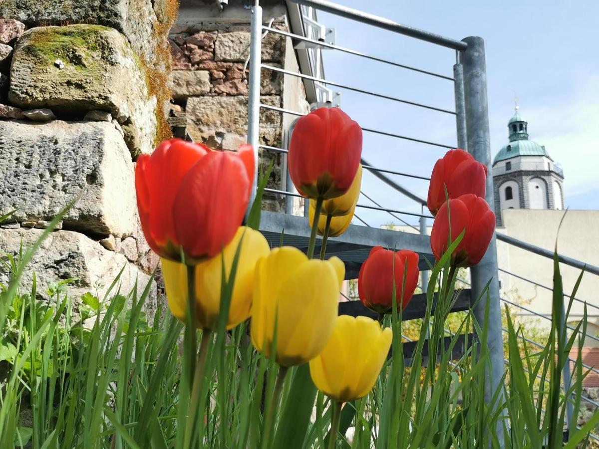 Fynbos Studio Dg In Der Altstadt, Frauenkirchenblick, Parkplatz Meißen Exteriör bild