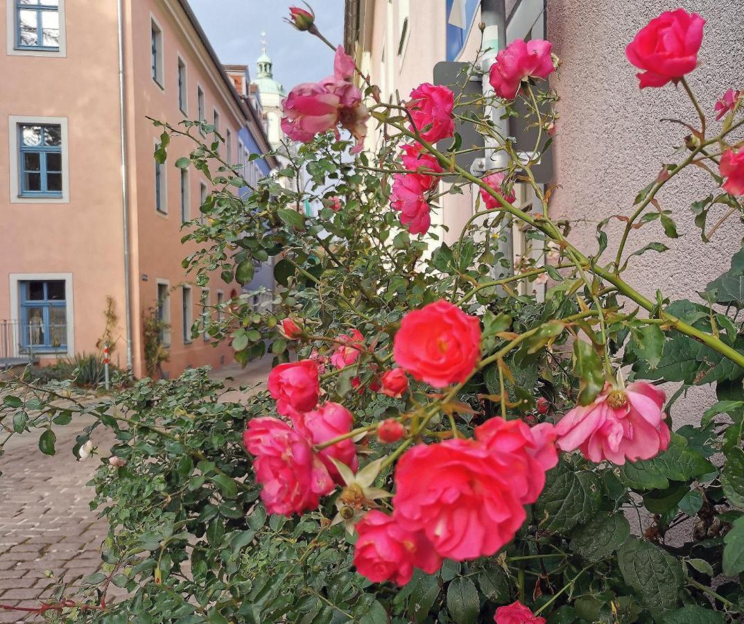 Fynbos Studio Dg In Der Altstadt, Frauenkirchenblick, Parkplatz Meißen Exteriör bild