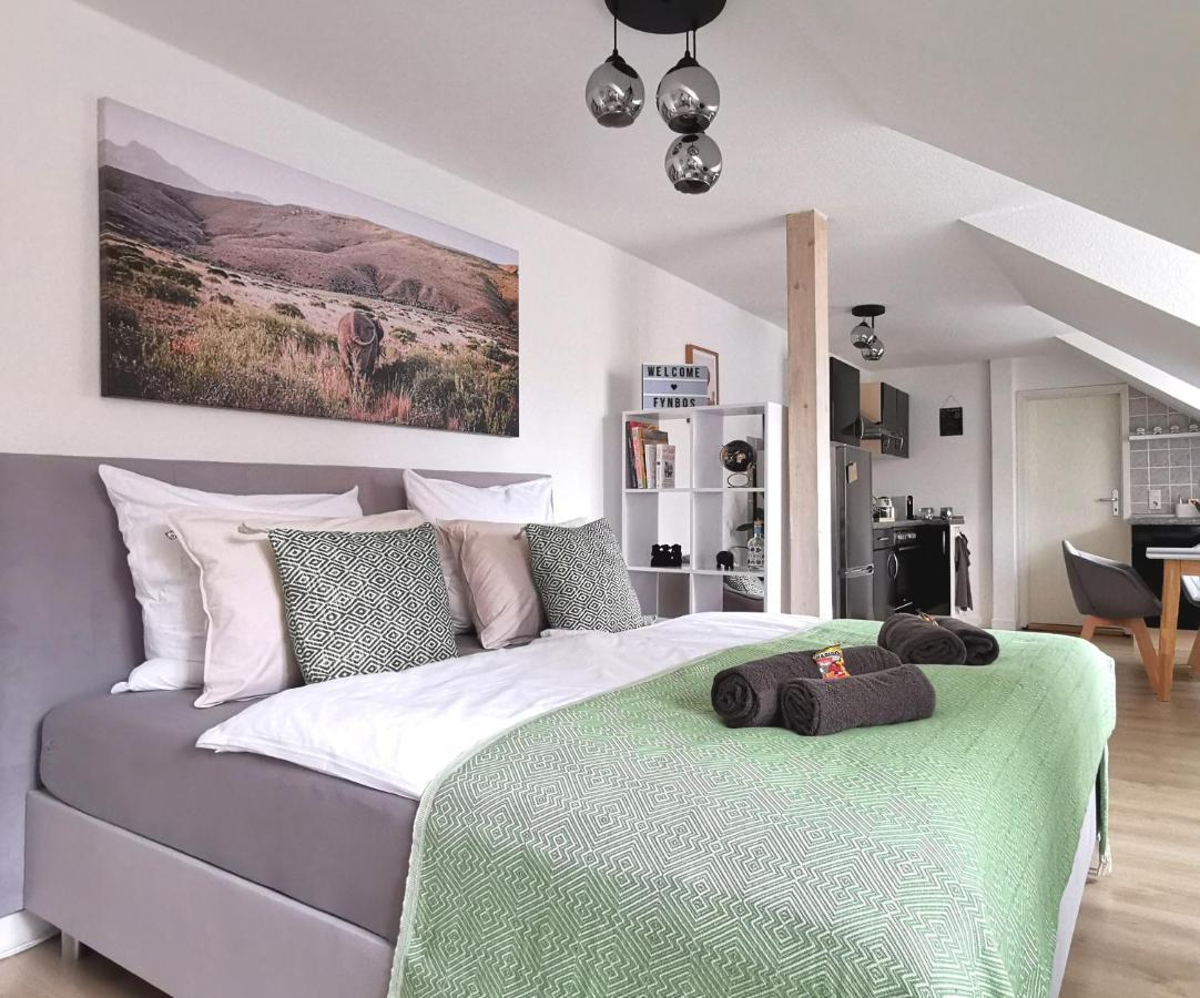 Fynbos Studio Dg In Der Altstadt, Frauenkirchenblick, Parkplatz Meißen Exteriör bild